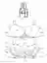 Fig. 02 - Adjustable breast positioning system for women's garments and related methods