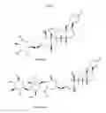 Fig. 02 - RAPIDLY-DISSOLVING THIN FILM FORMULATION OF WATER SOLUBLE DIGITALIS GLYCOSIDE FOR THE TREATMENT OF CONGESTIVE HEART DISEASE