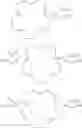Fig. 294 - Conjugated lipomers and uses thereof