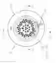 Fig. 21 - Multifunction pivoting body spray