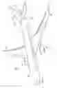 Fig. 02 - Composite forming apparatus