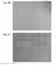Fig. 07 - Composite elastic nonwoven fabric