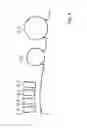Fig. 06 - Method and device for printing with temperature gradient for optimal solvent penetration