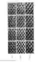 Fig. 02 - Method of improving surface cure in digital flexographic printing plates