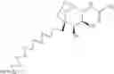 Fig. 09 - Substituted-6,8-dioxabicyclo[3.2.1]octane-2,3-diol compounds as targeting agents of ASGPR