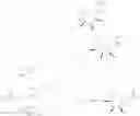 Fig. 100 - Substituted-6,8-dioxabicyclo[3.2.1]octane-2,3-diol compounds as targeting agents of ASGPR