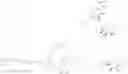 Fig. 110 - Substituted-6,8-dioxabicyclo[3.2.1]octane-2,3-diol compounds as targeting agents of ASGPR