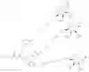 Fig. 163 - Substituted-6,8-dioxabicyclo[3.2.1]octane-2,3-diol compounds as targeting agents of ASGPR