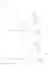 Fig. 166 - Substituted-6,8-dioxabicyclo[3.2.1]octane-2,3-diol compounds as targeting agents of ASGPR