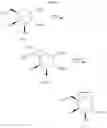 Fig. 18 - Substituted-6,8-dioxabicyclo[3.2.1]octane-2,3-diol compounds as targeting agents of ASGPR