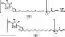 Fig. 35 - Substituted-6,8-dioxabicyclo[3.2.1]octane-2,3-diol compounds as targeting agents of ASGPR