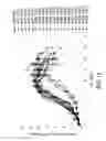 Fig. 02 - Methods for controlling the galactosylation profile of recombinantly-expressed proteins