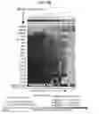 Fig. 20 - DIAGNOSTIC METHODS FOR INFECTIOUS DISEASE USING ENDOGENOUS GENE EXPRESSION