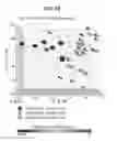 Fig. 33 - DIAGNOSTIC METHODS FOR INFECTIOUS DISEASE USING ENDOGENOUS GENE EXPRESSION