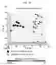 Fig. 61 - DIAGNOSTIC METHODS FOR INFECTIOUS DISEASE USING ENDOGENOUS GENE EXPRESSION