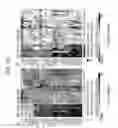 Fig. 64 - DIAGNOSTIC METHODS FOR INFECTIOUS DISEASE USING ENDOGENOUS GENE EXPRESSION