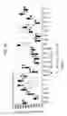Fig. 75 - DIAGNOSTIC METHODS FOR INFECTIOUS DISEASE USING ENDOGENOUS GENE EXPRESSION