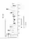 Fig. 77 - DIAGNOSTIC METHODS FOR INFECTIOUS DISEASE USING ENDOGENOUS GENE EXPRESSION