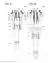 Fig. 03 - Cover member