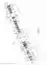 Fig. 06 - Modular silencer