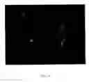 Fig. 02 - Assay for drug discovery based on in vitro differentiated cells