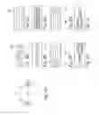 Fig. 07 - Projection exposure method and projection exposure apparatus for microlithography