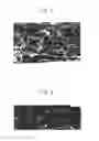 Fig. 02 - NEGATIVE-ELECTRODE ACTIVE MATERIAL AND ELECTRIC STORAGE APPARATUS