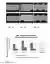 Fig. 02 - Powdered metal component