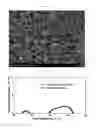 Fig. 03 - Method for manufacturing anode support of solid oxide fuel cell, and anode support of solid oxide fuel cell