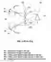 Fig. 05 - METHOD AND APPARATUS TO PRODUCE RE-FOCUSABLE VISION WITH DETECTING RE-FOCUSING EVENT FROM HUMAN EYE