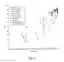 Fig. 07 - Method and system for objective perceptual video quality assessment
