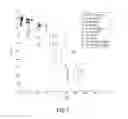 Fig. 08 - Method and system for objective perceptual video quality assessment