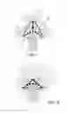 Fig. 02 - LIFTING AND SUPPORT SYSTEM FOR PALM TREES
