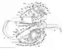 Fig. 01 - Head and horn protector