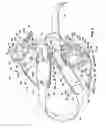 Fig. 03 - Head and horn protector