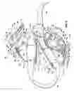 Fig. 04 - Head and horn protector
