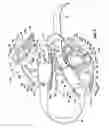Fig. 06 - Head and horn protector