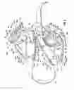 Fig. 07 - Head and horn protector