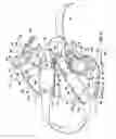 Fig. 11 - Head and horn protector