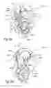 Fig. 07 - Systems and methods for treating cancer and/or augmenting organ function