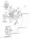 Fig. 01 - Phantom degrees of freedom for manipulating the movement of mechanical bodies