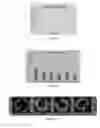 Fig. 35 - BIODEGRADABLE ENDOPROSTHESES AND METHODS FOR THEIR FABRICATION