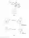 Fig. 05 - Collagen and elastin stimulating compound and topical compositions comprising such compound
