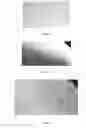 Fig. 08 - Collagen and elastin stimulating compound and topical compositions comprising such compound