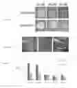Fig. 03 - METHODS FOR MICROBIAL BIOFILM DESTRUCTION