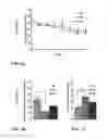 Fig. 03 - Memory Performance and Prevention and Treatment of Neurodegenerative Diseases