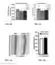 Fig. 04 - Memory Performance and Prevention and Treatment of Neurodegenerative Diseases