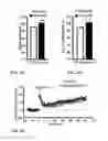 Fig. 05 - Memory Performance and Prevention and Treatment of Neurodegenerative Diseases