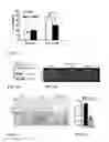 Fig. 06 - Memory Performance and Prevention and Treatment of Neurodegenerative Diseases