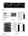 Fig. 08 - Memory Performance and Prevention and Treatment of Neurodegenerative Diseases